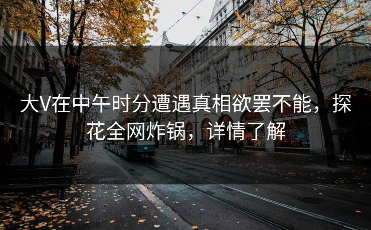大V在中午时分遭遇真相欲罢不能，探花全网炸锅，详情了解