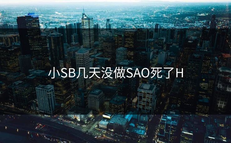 小SB几天没做SAO死了H
